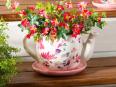 Tea-Pot Planters