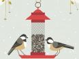 Bird Feeders